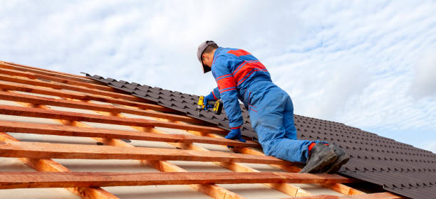 Best Steel Roofing  in Genesee, ID