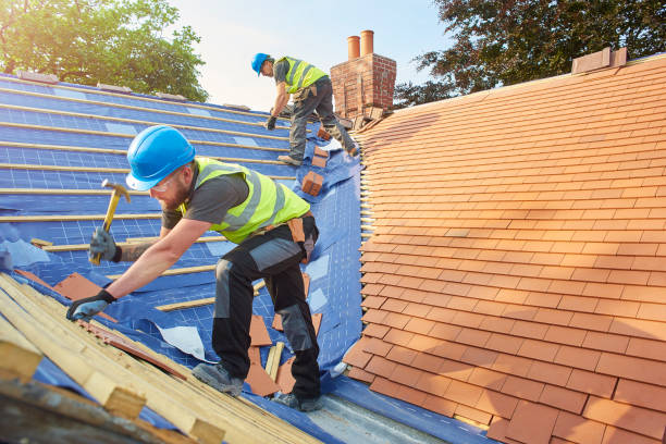 Best Chimney Flashing Repair  in Genesee, ID